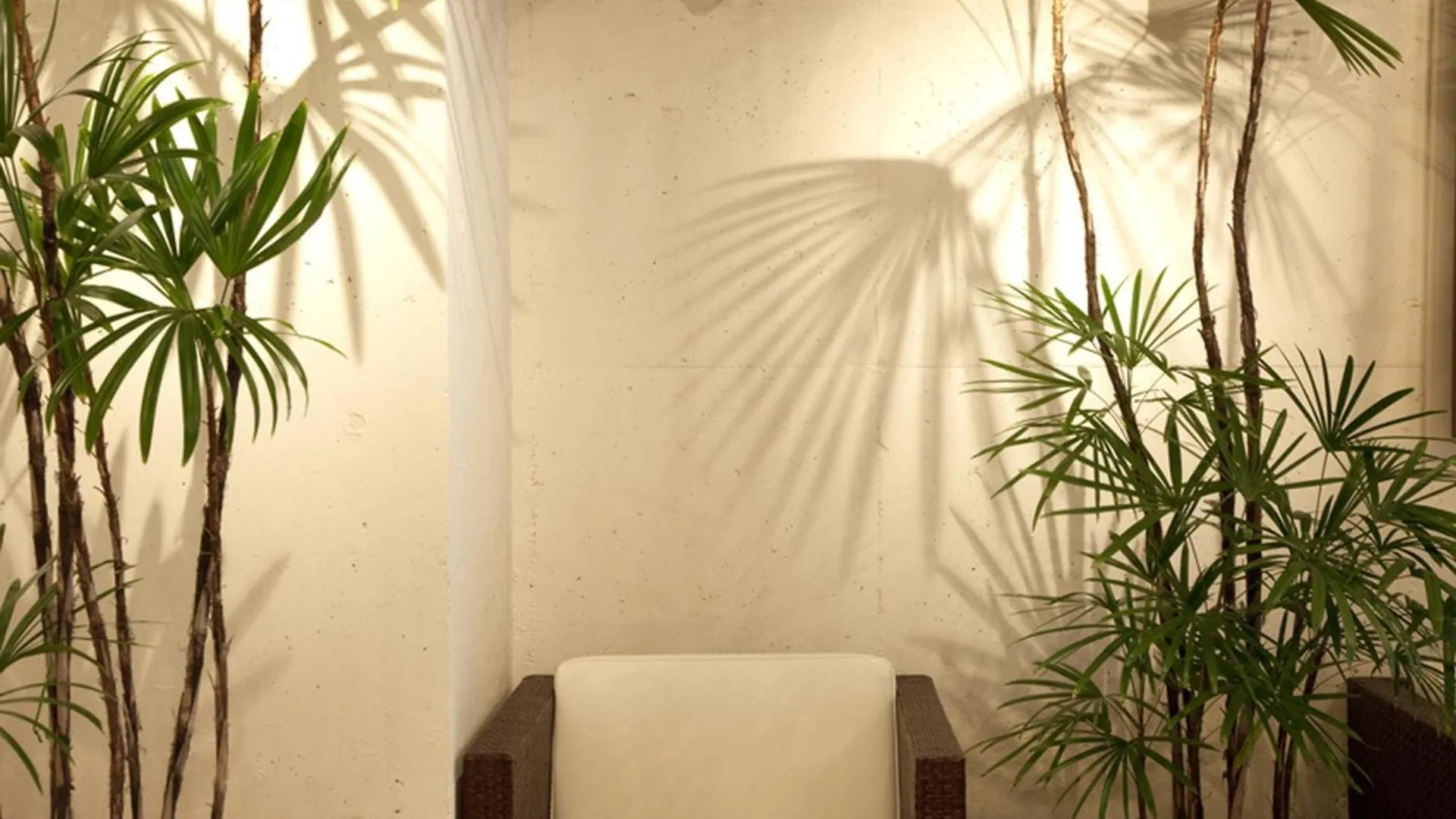 Osaka - Hotel / Vacation Stay 70068